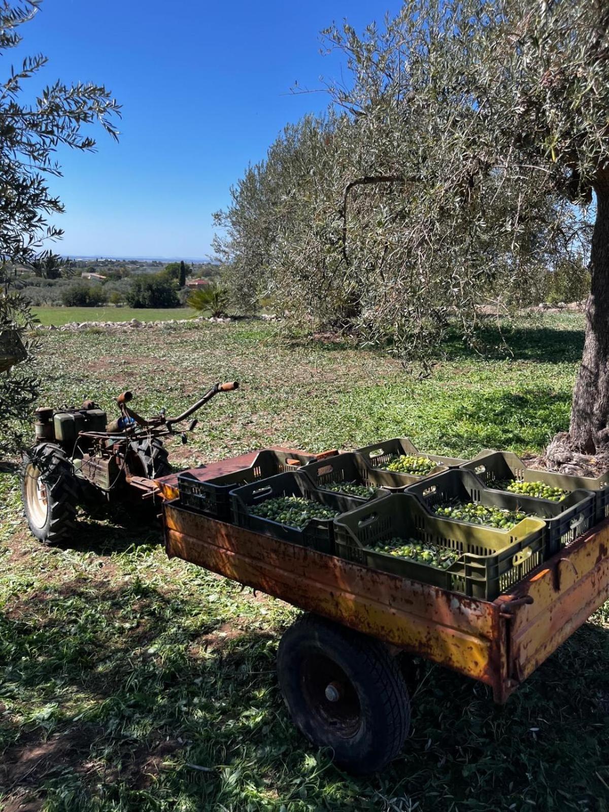 La Bella Vita Agriturismo Chiaramonte Gulfi Exteriér fotografie